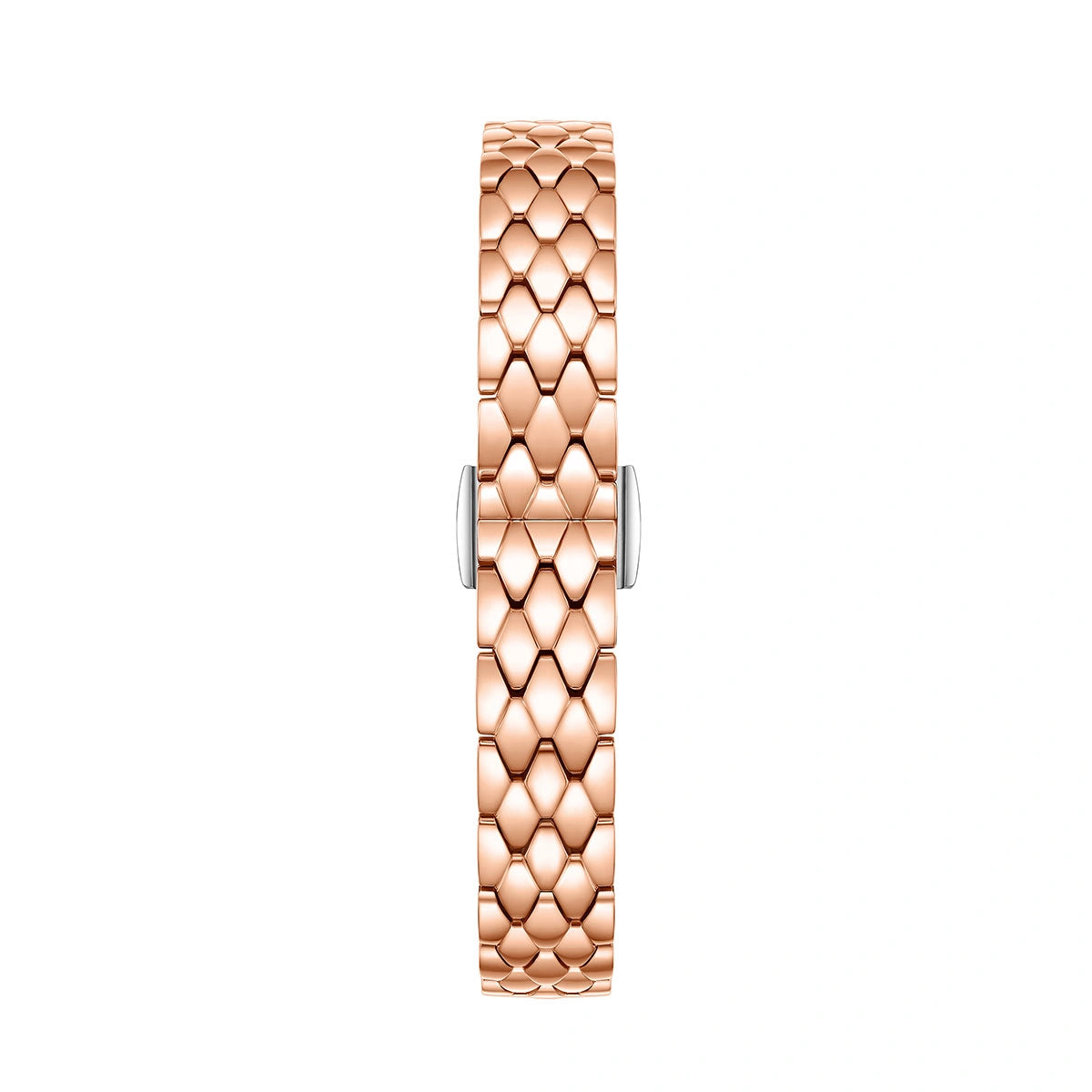 Cocoa Collection Women's Stainless Watch - FIYTA