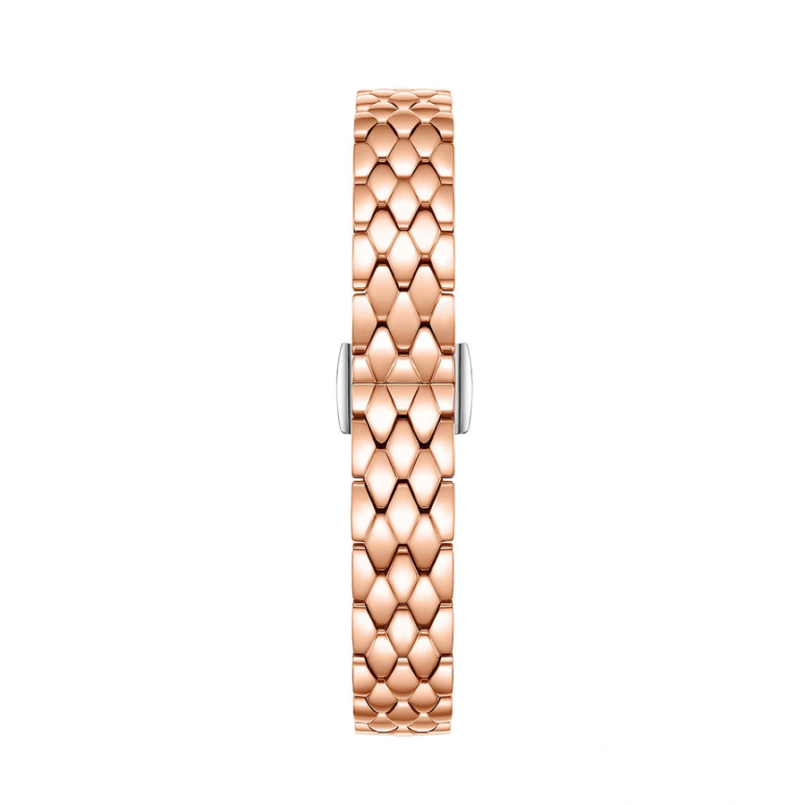 FIYTA Cocoa Zircon-Set Women's Quartz Watch L865018.PKPD detail photo (Brown Dial / Rose Gold Strap)
