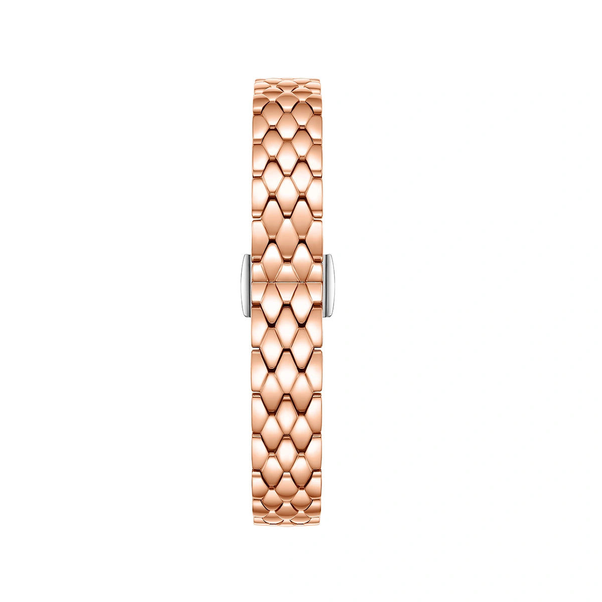 Cocoa Collection Women's Stainless Watch - FIYTA