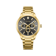 Black Dial / Gold Strap