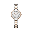 Silver Dial / Rose Gold & Silver Strap
