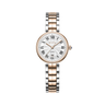 Silver Dial / Rose Gold & Silver Strap