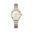 White Dial / Gold & Silver Strap