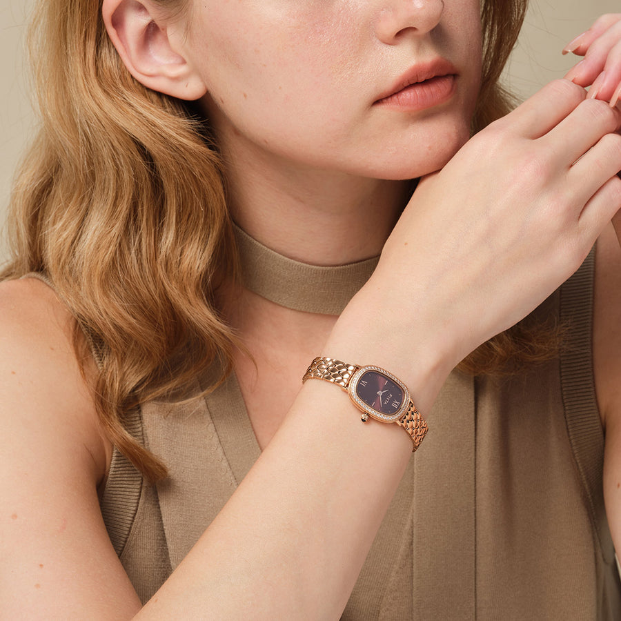 FIYTA Cocoa Zircon-Set Women's Quartz Watch L865018.PKPD wearing photo 2 (Brown Dial / Rose Gold Strap)