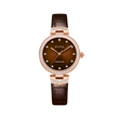 Brown Dial / Brown Strap