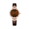 Brown Dial / Brown Strap