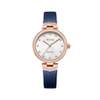 White Dial / Navy Blue Strap